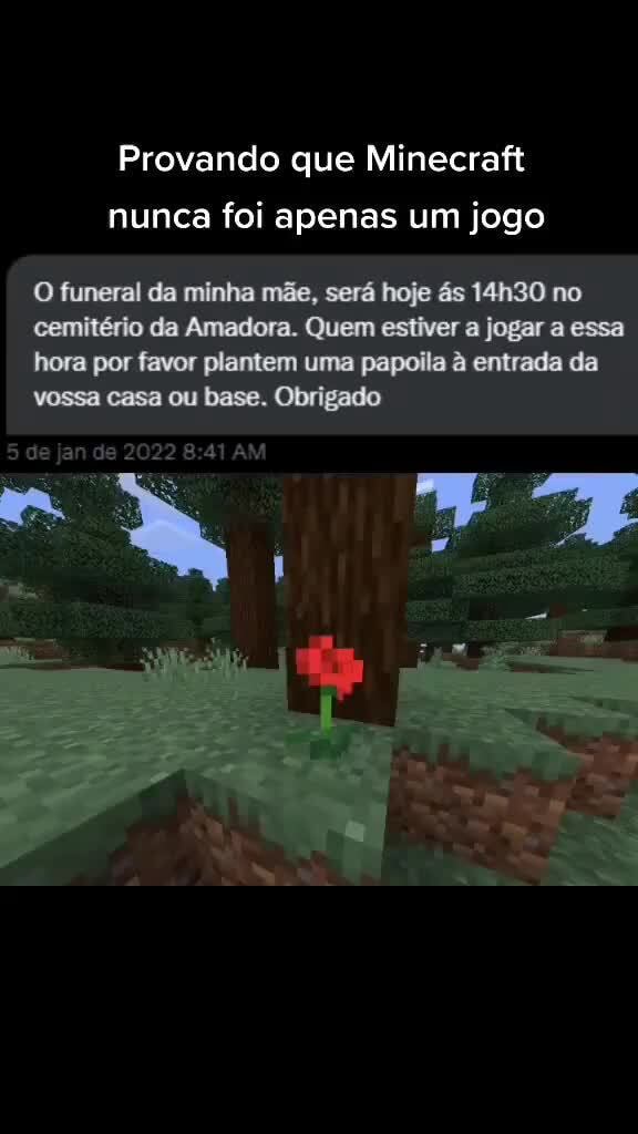 Pessoa aleatória: nossa minecraft é só um jogo quadrado não é nad relist  minecraft - iFunny Brazil