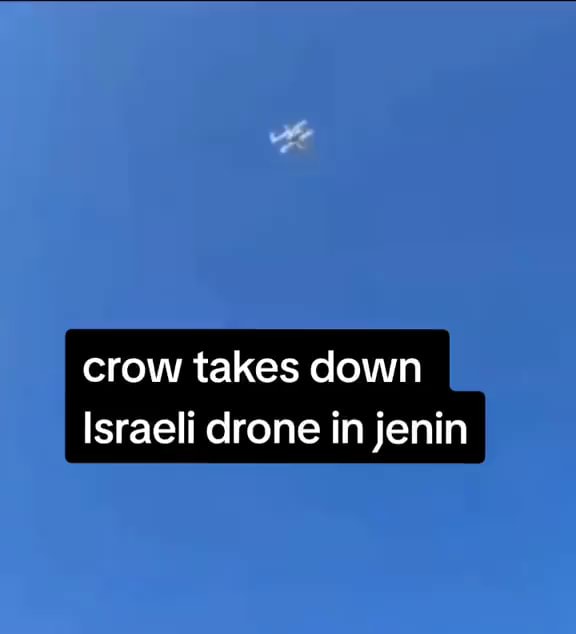 Crow drone best sale