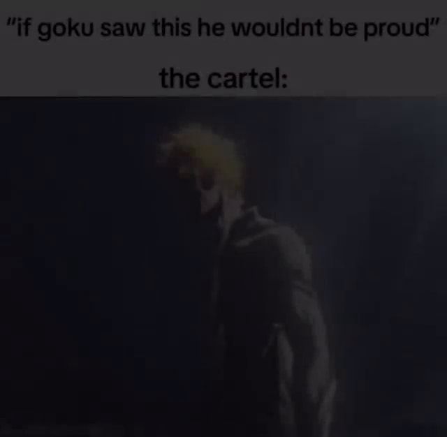 "if goku saw this he wouldnt be proud" the cartel: - iFunny