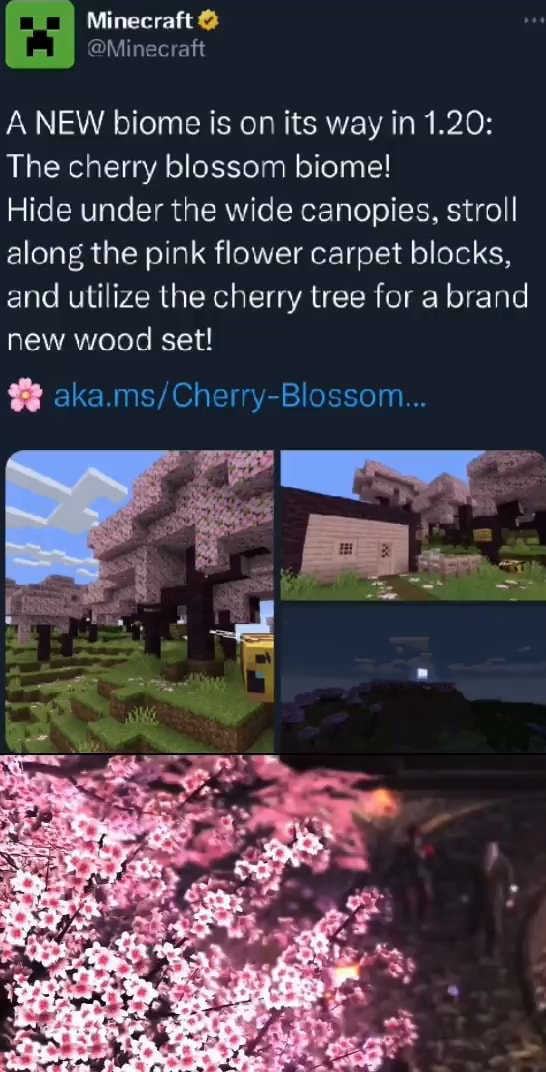 Minecraft - A NEW biome is on its way in 1.20: The cherry