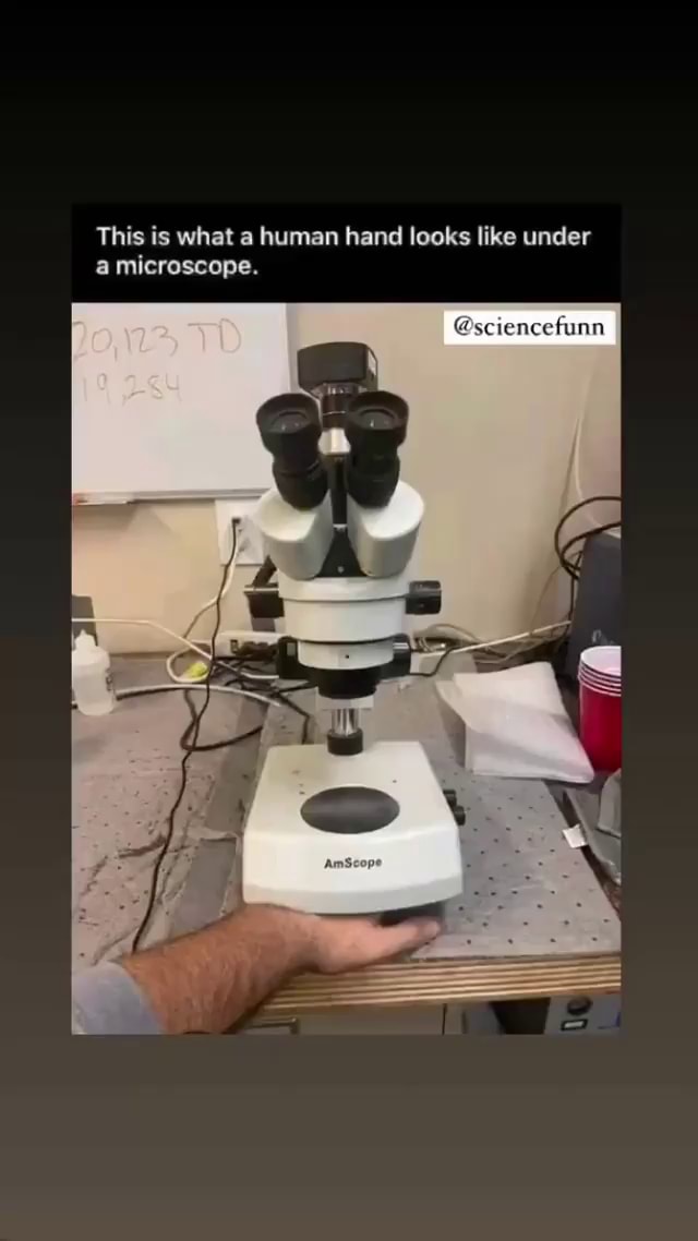 This is what a human hand looks like under a microscope. @sciencefunn ...