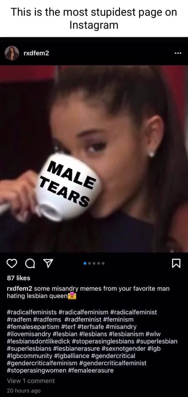 This is the most stupidest page on Instagram rxdfem2 VAV W 87 likes rxdfem2  some misandry memes from your favorite man hating lesbian queen  #radicalfeminists #radicalfeminism #radicalfeminist #radfem #radfems  #radfeminist #feminism #femalesepartism #