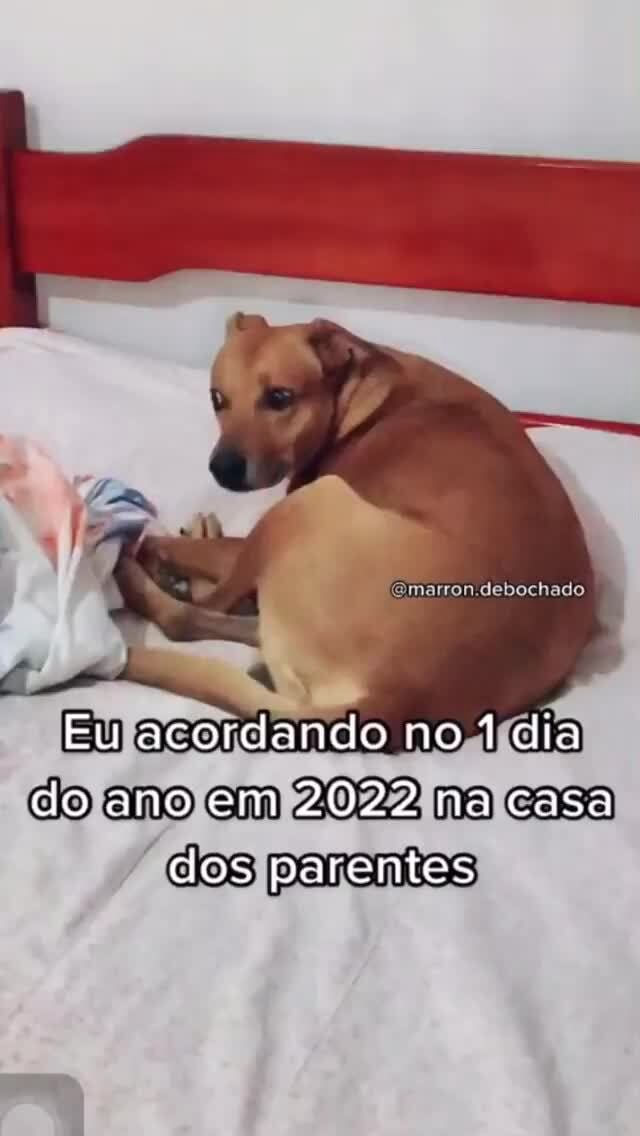 Quando chega o Natal e a família inventa de dormir todo mundo na casa de  parente dl - iFunny Brazil