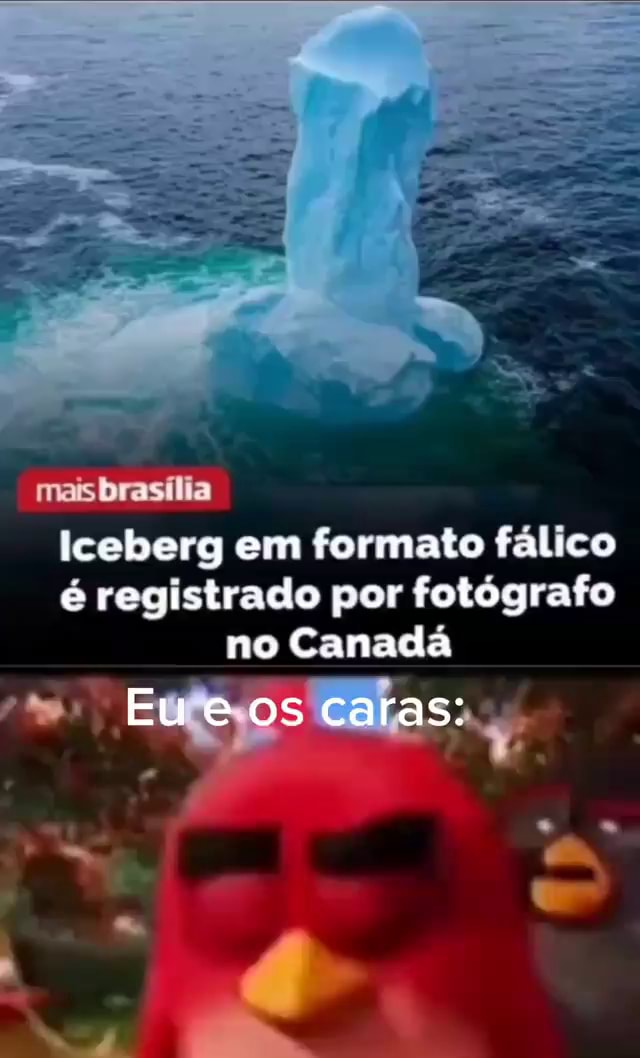 Fala Gurizada, iceberg concluido : r/TocadoFoxy