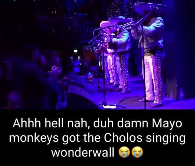 Abhh hell nah, duh damn Mayo monkeys got the Cholos singing wonderwall ...