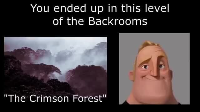 You ended up in this level of the Backrooms The Crimson Forest - iFunny  Brazil