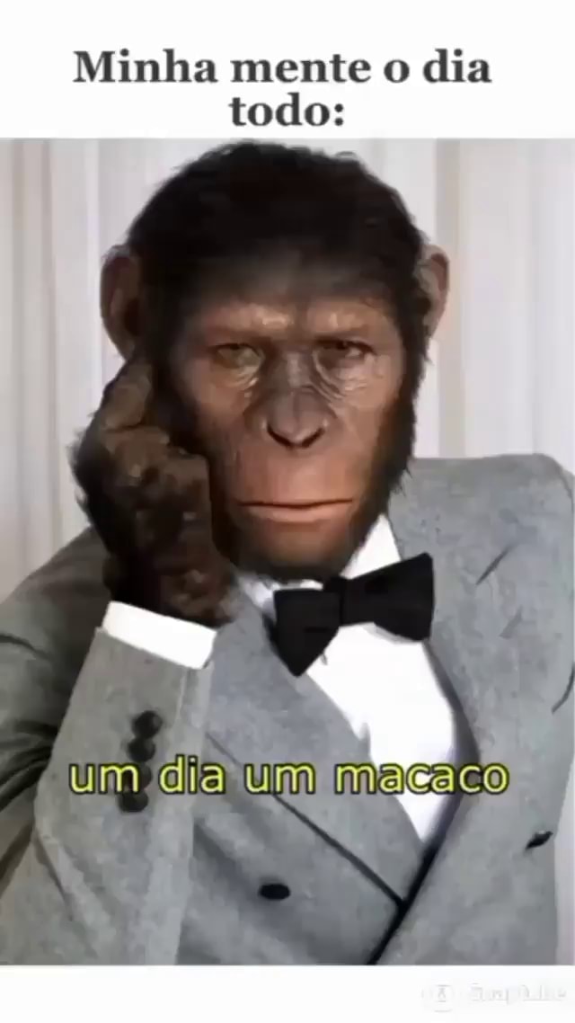 UhhhGa Buga eU sigMa Minha nossa! Um UgA BuGa macaco falante! - iFunny  Brazil