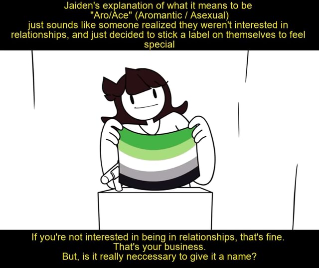 r Jaiden Animations Comes Out As Aroace, Here's What That Means