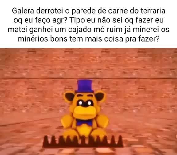 Galera derrotei o parede de carne do terraria oq eu faço agr? Tipo