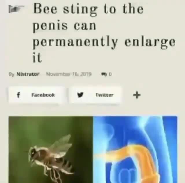 La Bee sting to the penis can permanently enlarge he iFunny Brazil