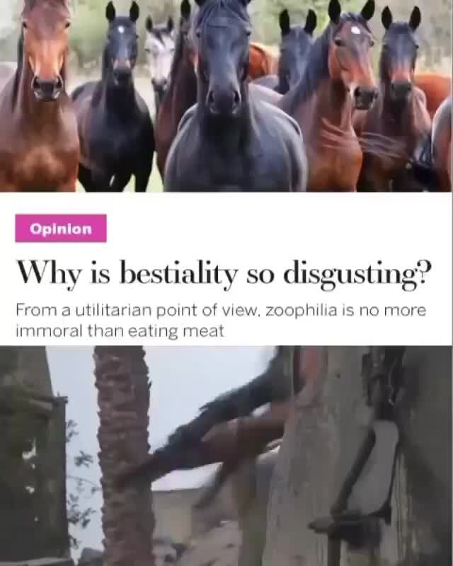 Why is bestiality so disgusting? From a utilitarian point of view, zoophilia is no more immoral than eating meat - iFunny