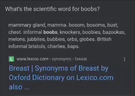 Scientific Words for Boobs - What's the scientific word for boobs? mammary  gland, mamma. bosom, bosoms, bust, chest. informal boobs, knockers,  boobies, bazookas, melons, jubblies, bubbies, orbs, globes. British  informal bristols, charlies
