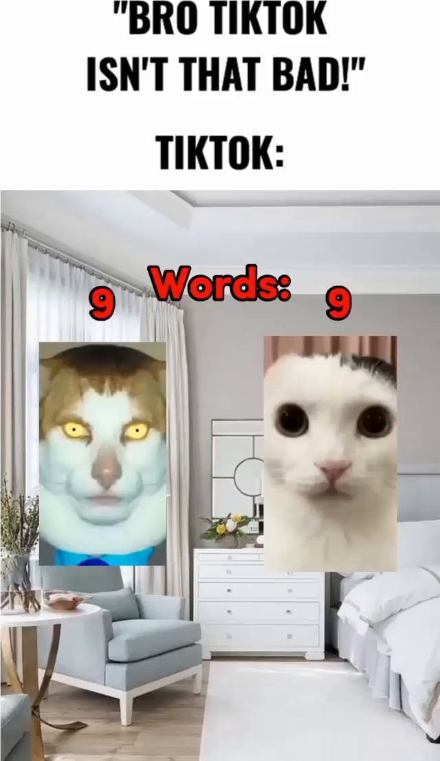 loja bad cat｜Pesquisa do TikTok