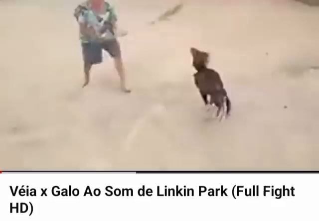 Luta de boneco palito ao som de link park num: Feito - iFunny Brazil