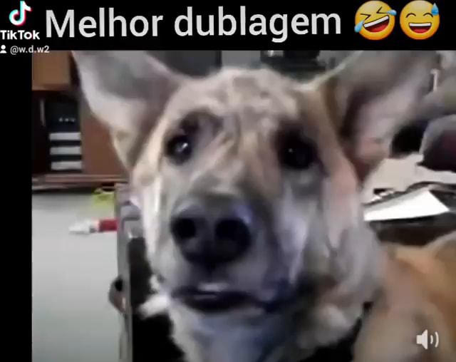 Dubladores de em outras obras - iFunny Brazil