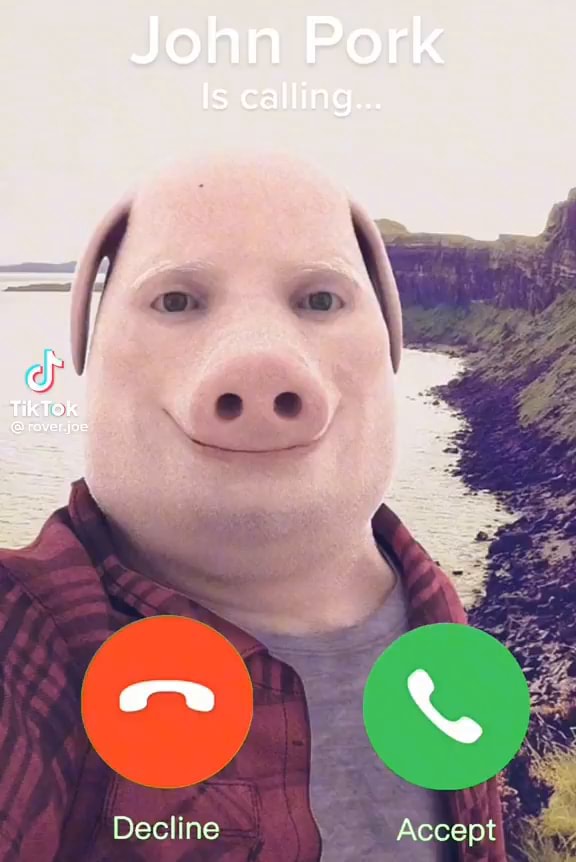 John Pork Is calling TikTok Greveryoe Decline Accont - iFunny Brazil