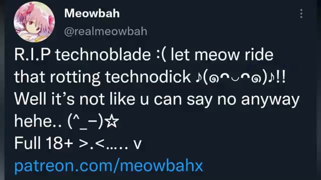 R.1.P technoblade let meow ride that rotting techned Well it's not