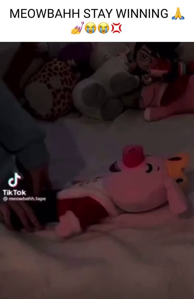 MEOWBAHH STAY WINNING TikTok meowhahh tape - iFunny Brazil