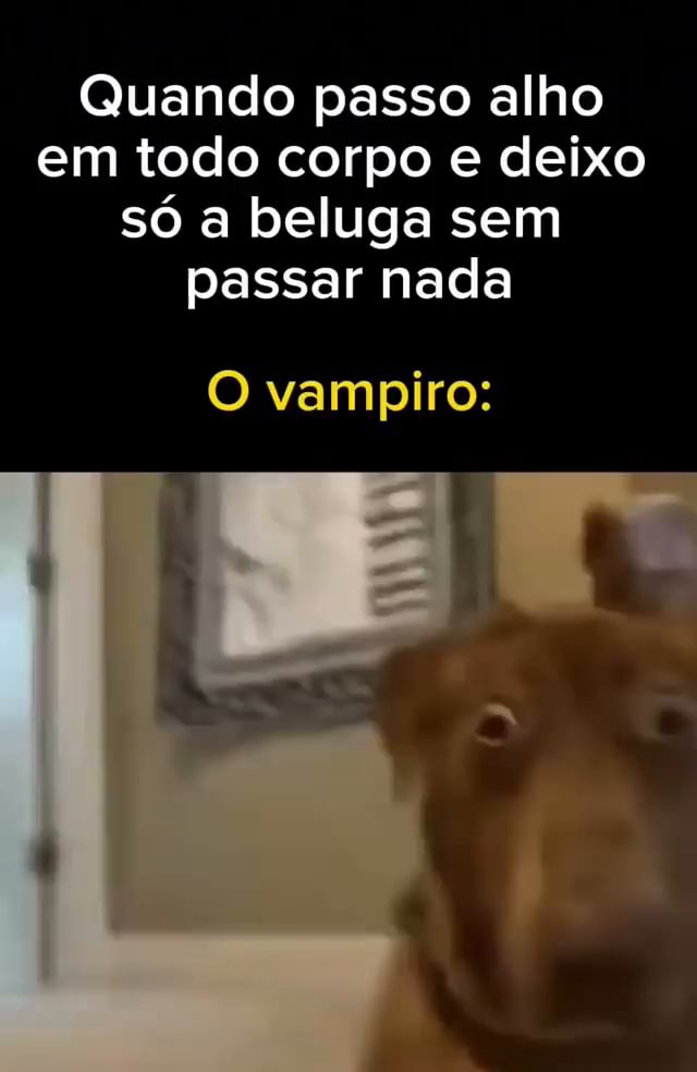 Quando Passo Alho Em Todo Corpo E Deixo S A Beluga Sem Passar Nada O