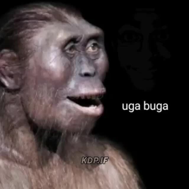 O cara que fala uga buga nós comentários: - iFunny Brazil