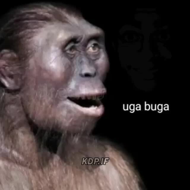 UhhhGa Buga eU sigMa Minha nossa! Um UgA BuGa macaco falante! - iFunny  Brazil