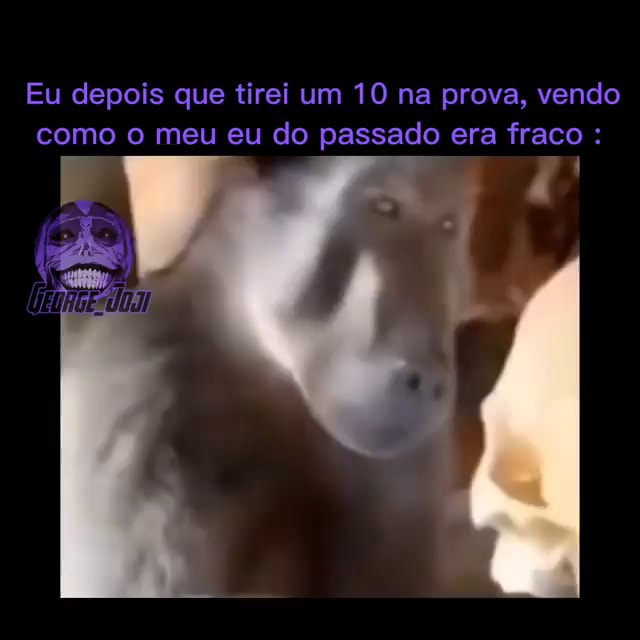 Eu depois de ver isso tentando Mero És - iFunny Brazil