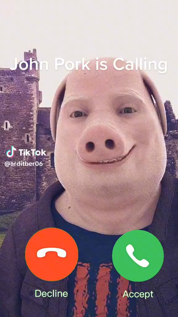 John Pork Is calling TikTok Greveryoe Decline Accont - iFunny Brazil