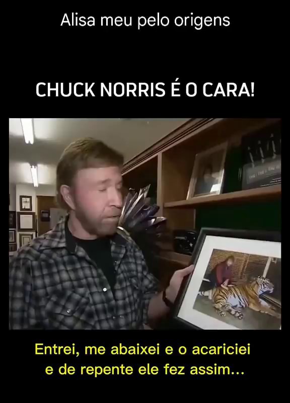 SE RIR JA SABE 727: TikToks e Memes que Arrancarão Risadas! 