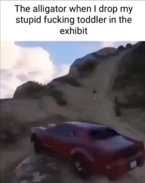 The alligator when I drop my stupid fucking toddler in the exhibit - iFunny