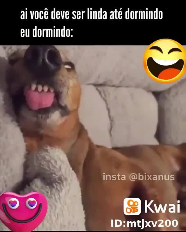 No Instagram eu posso até ser flopado mas no ifunny eu sou é ídolo