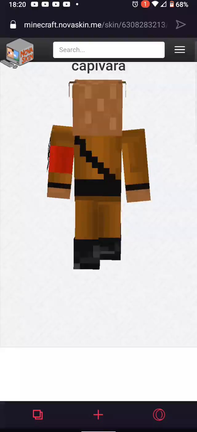 skin de capivara minecraft