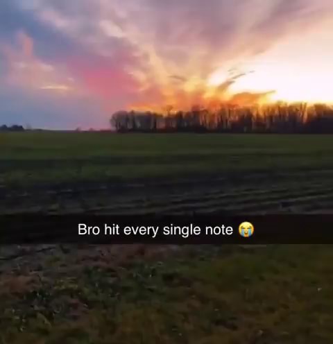 Bro Hit Every Single Note - IFunny Brazil