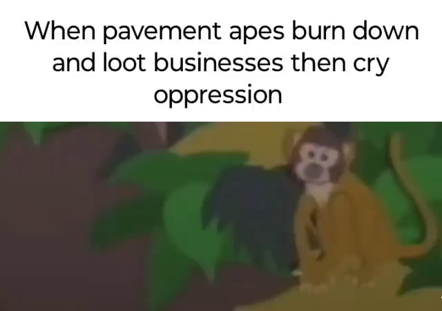 When pavement apes burn down and loot businesses then cry oppression ...