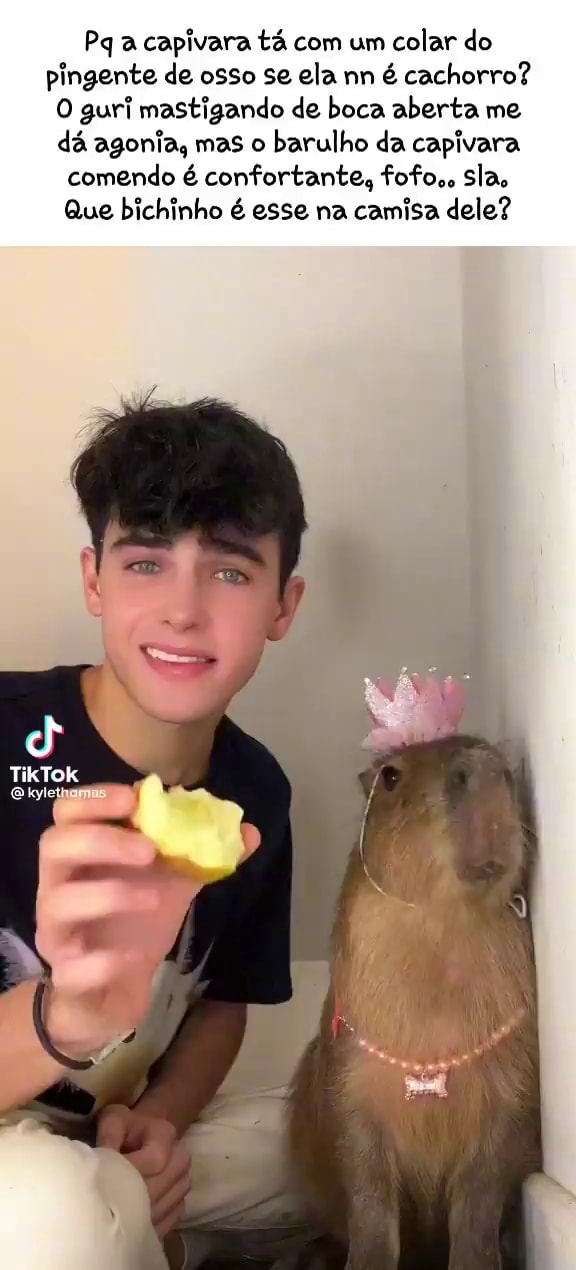 meme capivara｜Pesquisa do TikTok