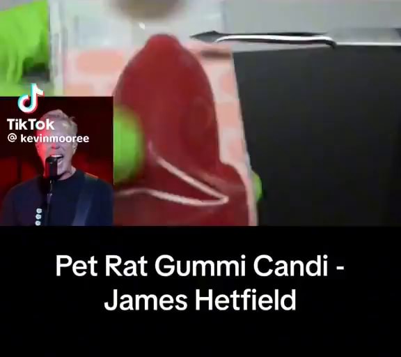 Pet Rat Gummi Candi James Hetfield iFunny Brazil