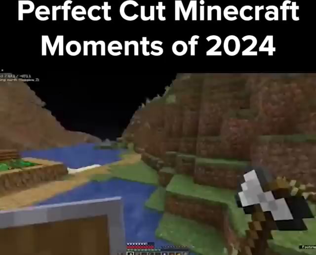 Perfect Cut Minecraft Moments of 2024 - iFunny Brazil