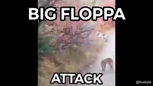 Floppa Attack