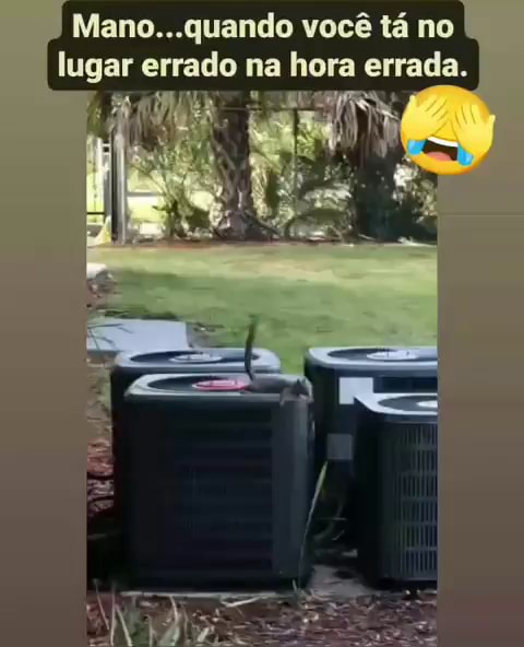 Mano... Quando Você Tá No Lugar Errado Na Hora Errada - IFunny Brazil