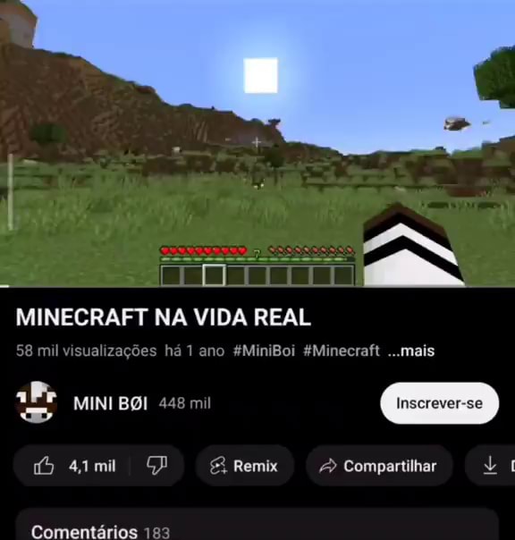 Vida De Minecraft